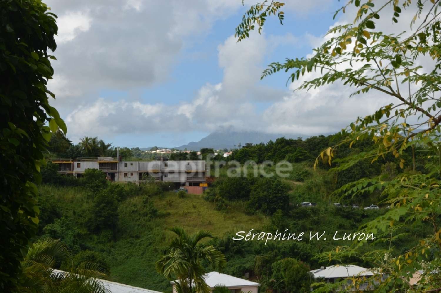  à vendre terrain La Trinité Martinique 3
