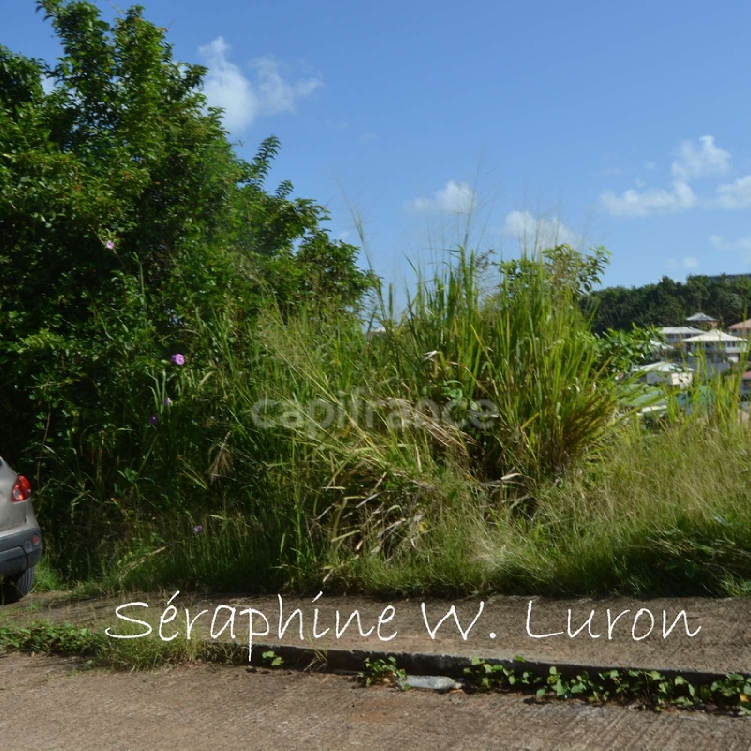  à vendre terrain La Trinité Martinique 4
