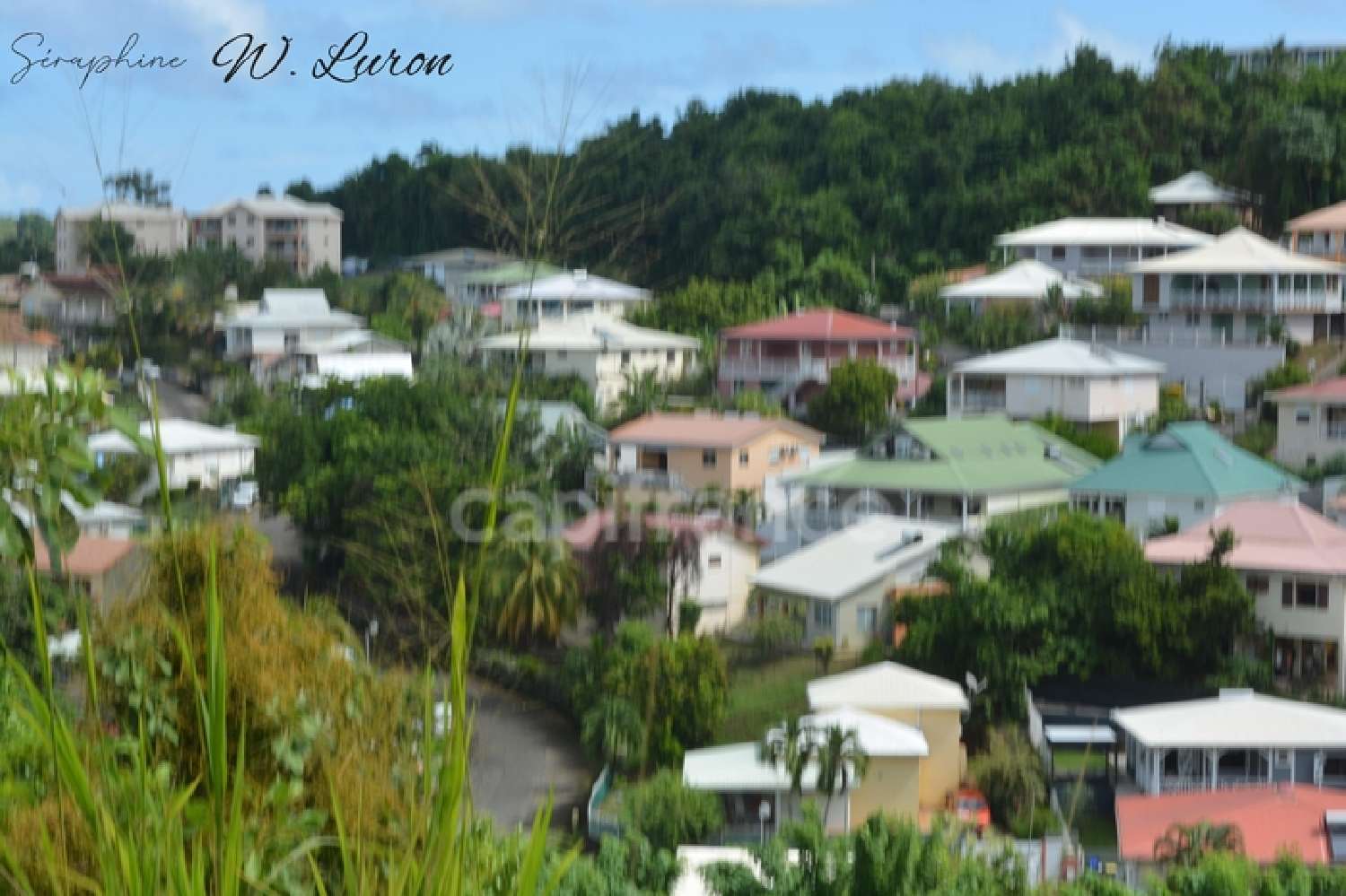  à vendre terrain La Trinité Martinique 5