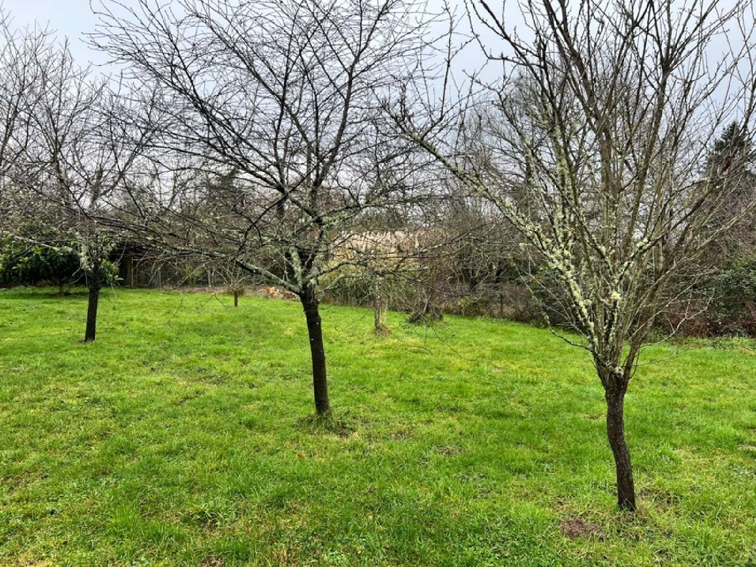  kaufen Grundstück Langon Loir-et-Cher 2