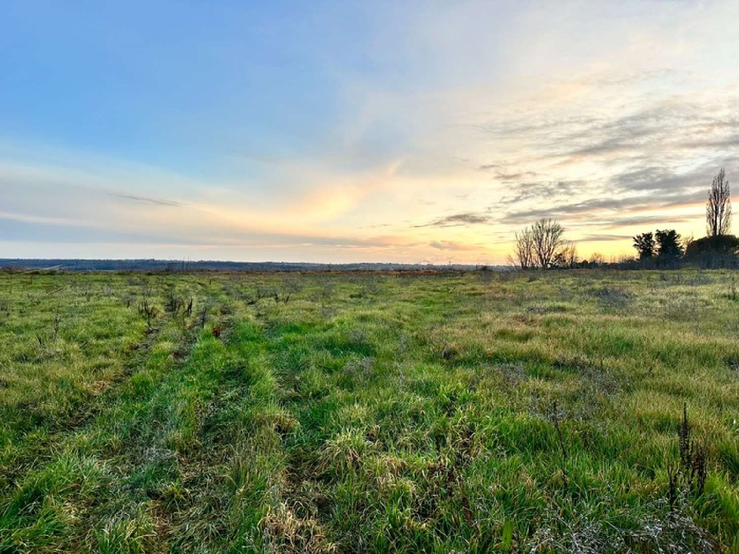  for sale terrain Lapeyrouse-Fossat Haute-Garonne 1