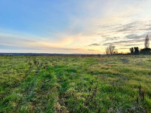 Lapeyrouse-Fossat Haute-Garonne terrain foto 7253425