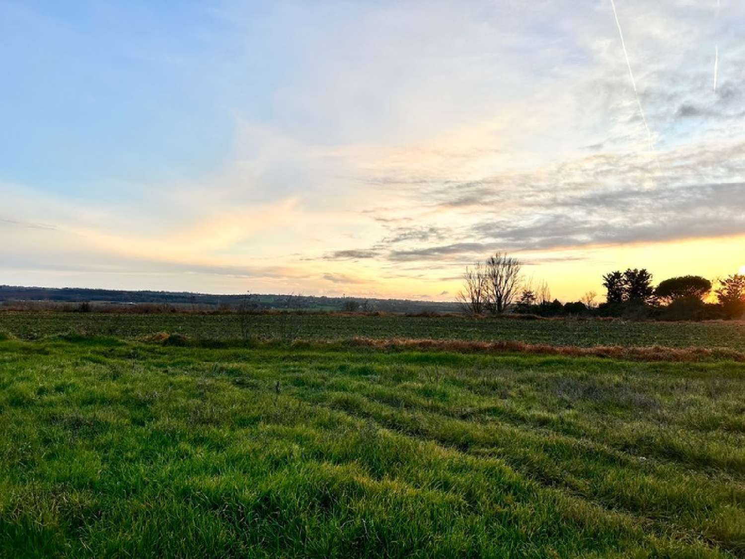  for sale terrain Lapeyrouse-Fossat Haute-Garonne 3