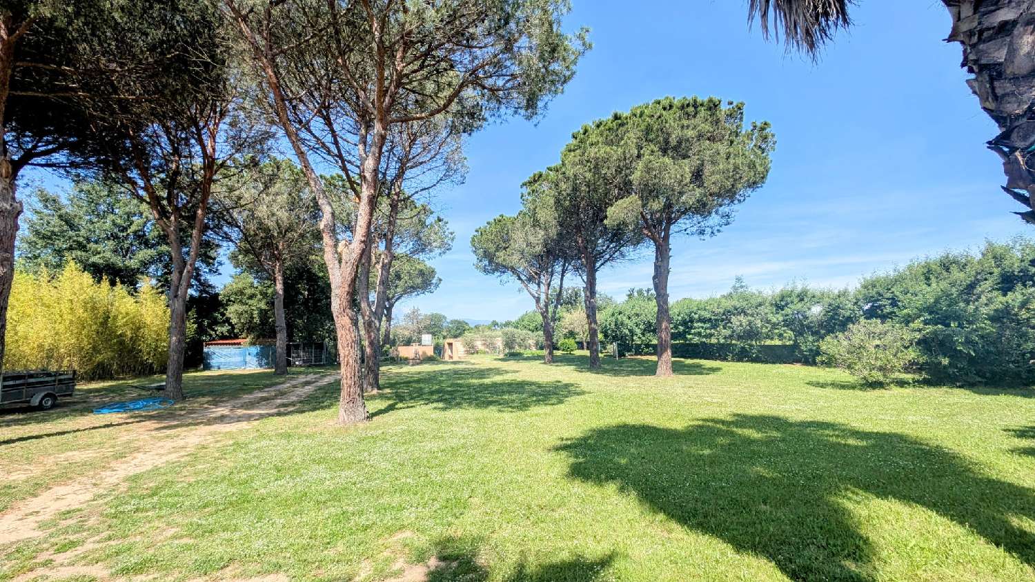  te koop terrein Laroque-des-Albères Pyrénées-Orientales 1