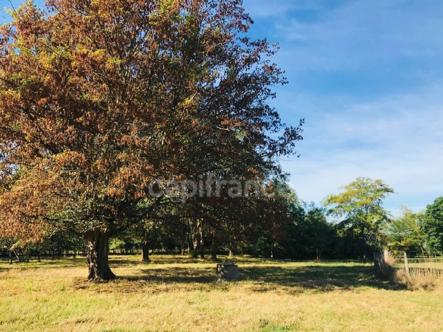  kaufen Grundstück Le Chautay Cher 7