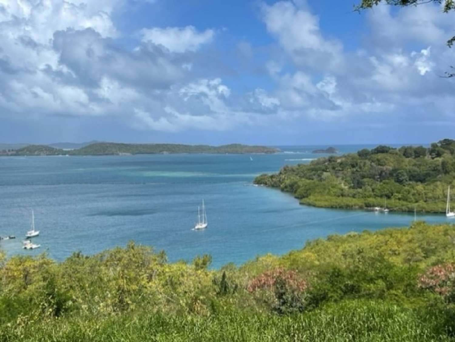 te koop terrein Le Robert Martinique 2