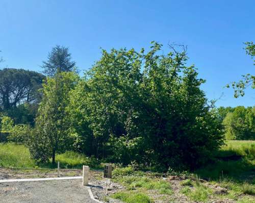 Le Taillan-Médoc Gironde Grundstück Bild 7269453