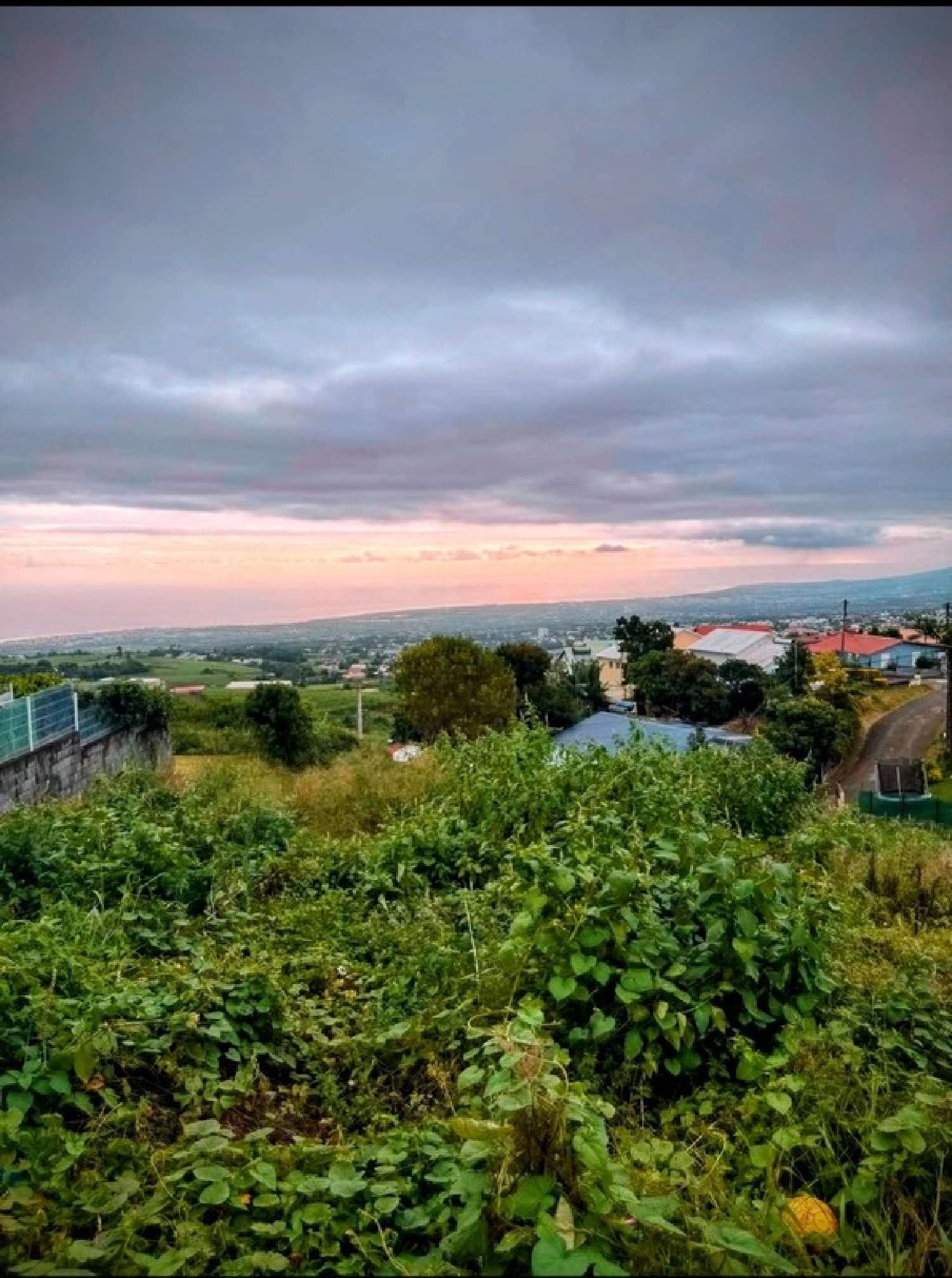  à vendre terrain Le Tampon La Réunion 1