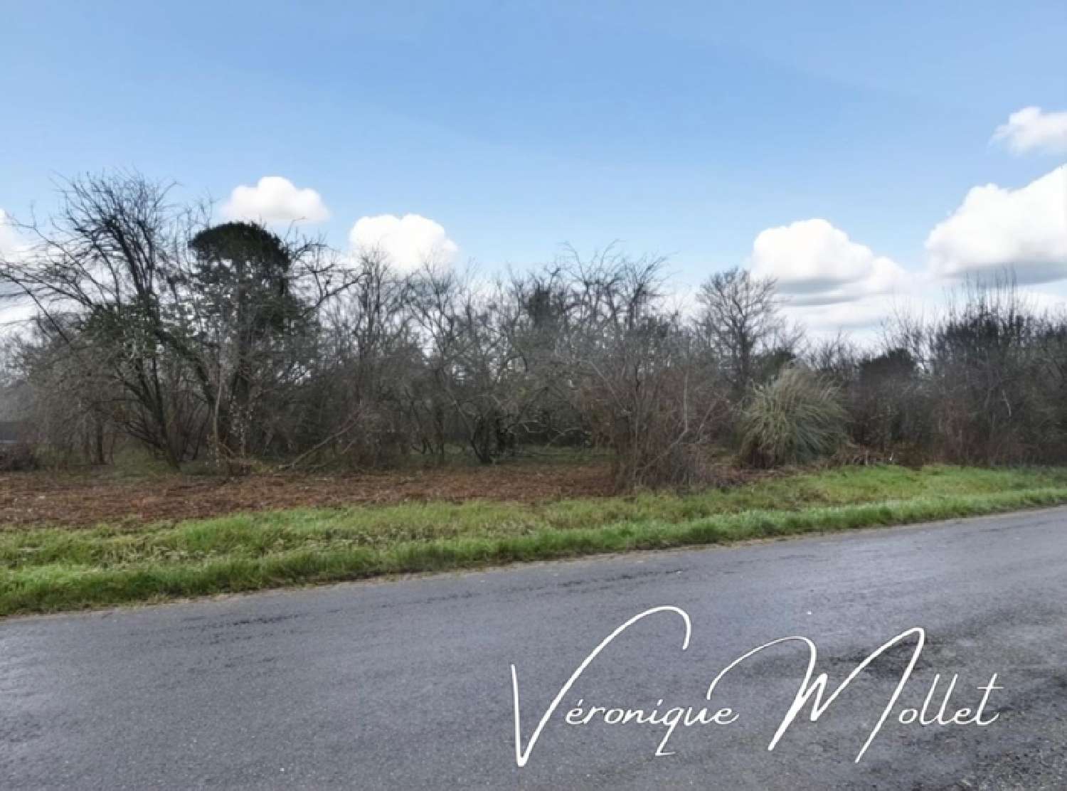  kaufen Grundstück Lignan-de-Bordeaux Gironde 1