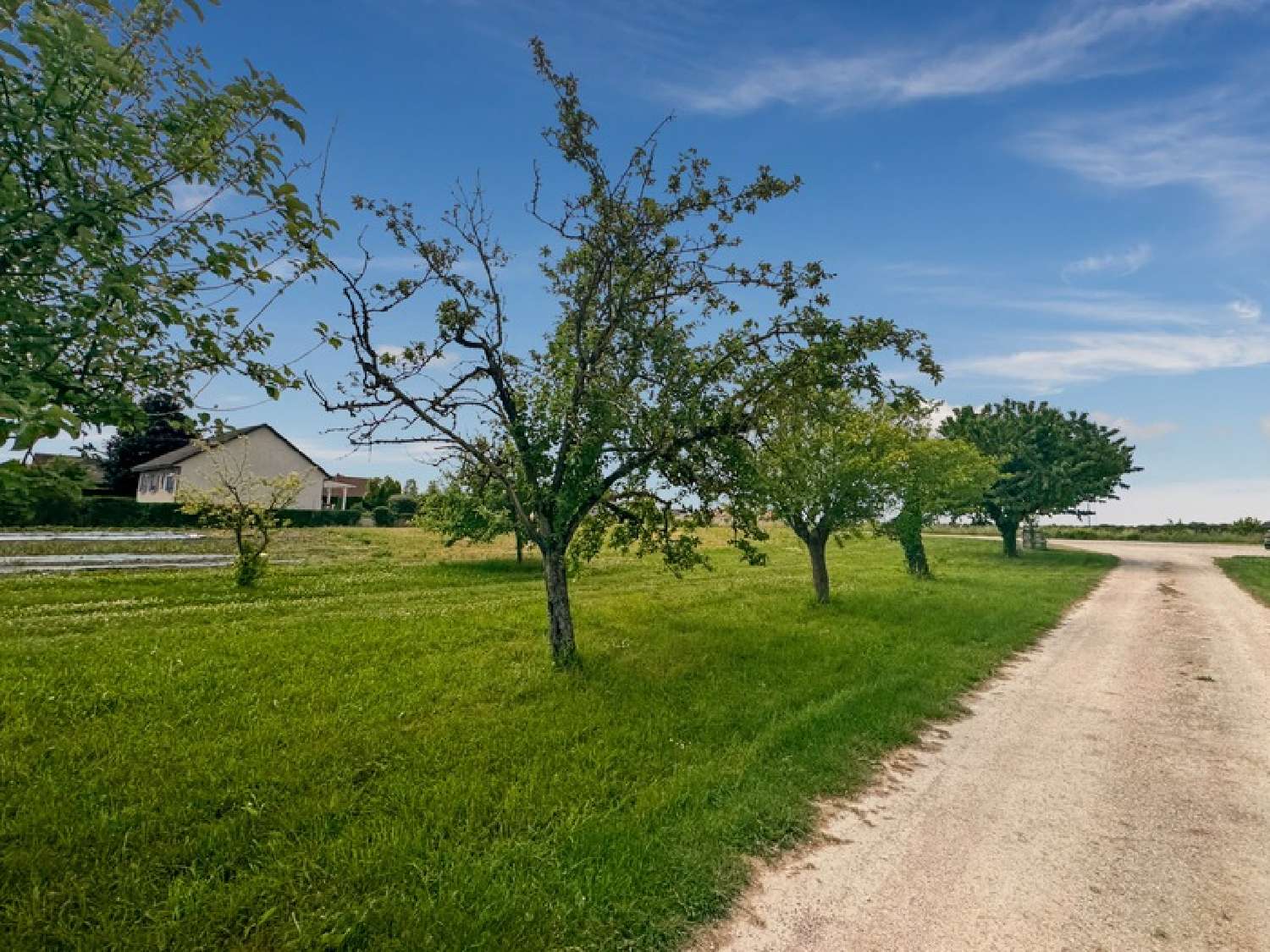  te koop terrein Magny-sur-Tille Côte-d'Or 3