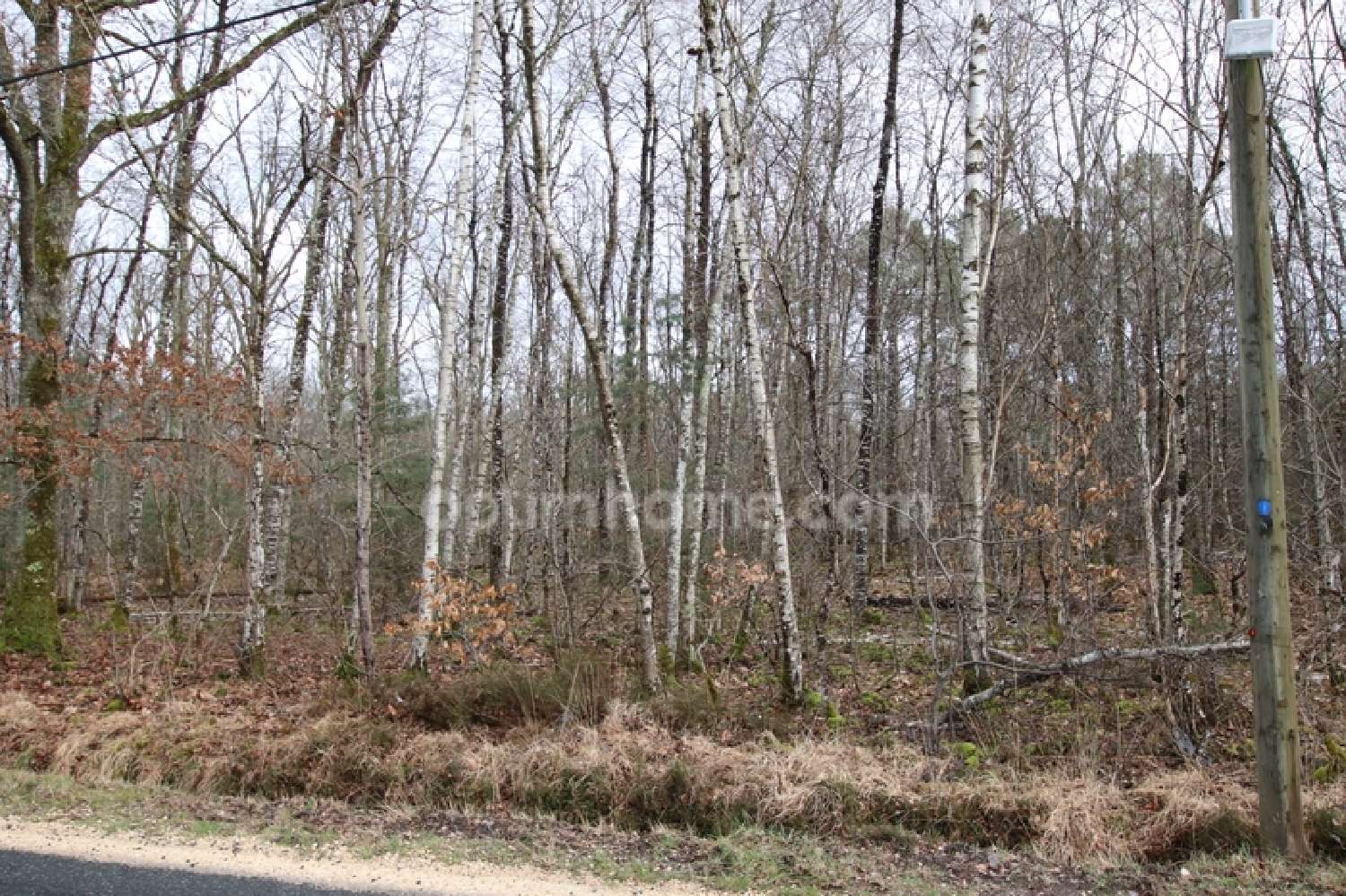 te koop terrein Ménétréol-sur-Sauldre Cher 2