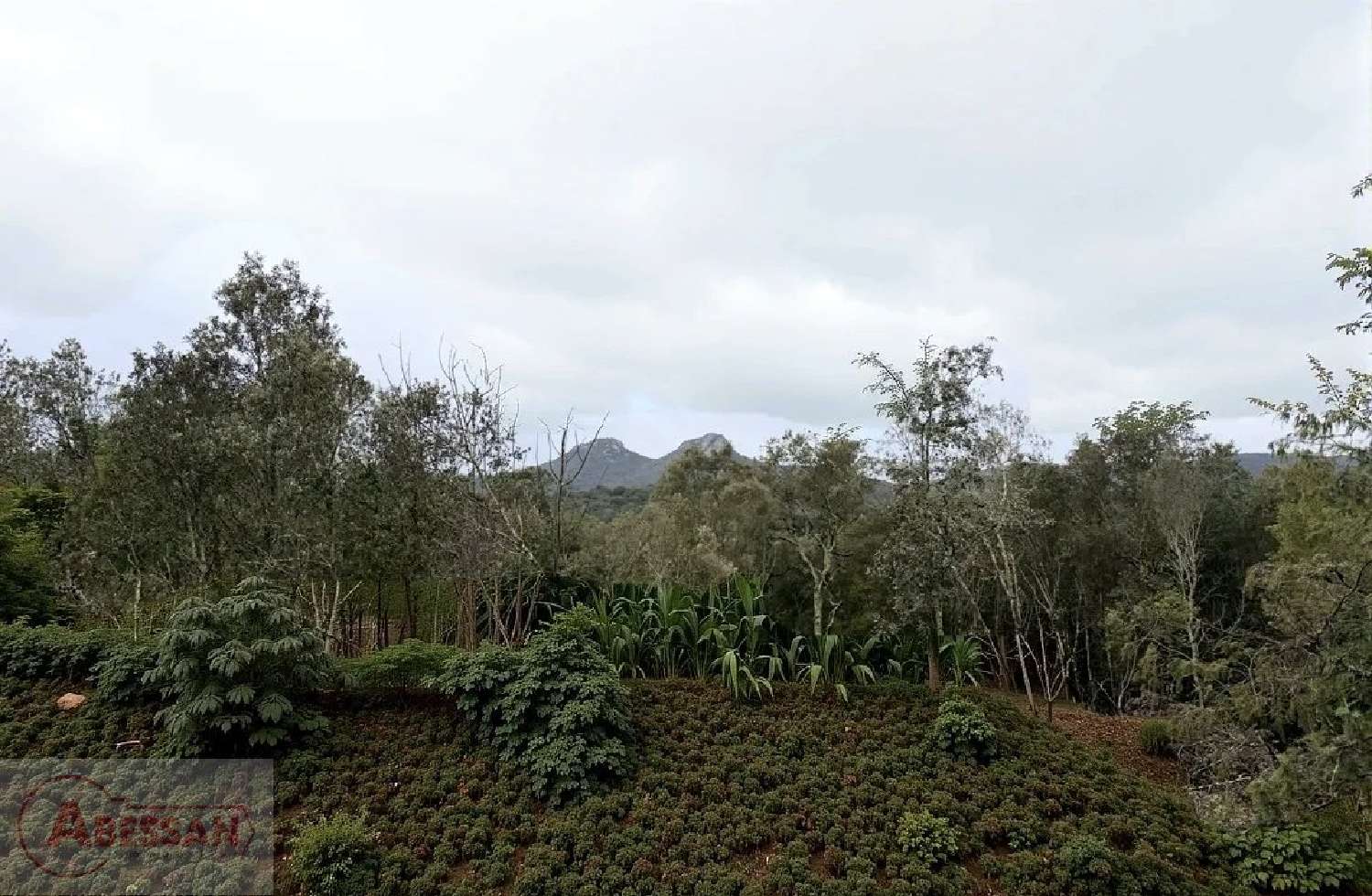  kaufen Grundstück Monoblet Gard 6