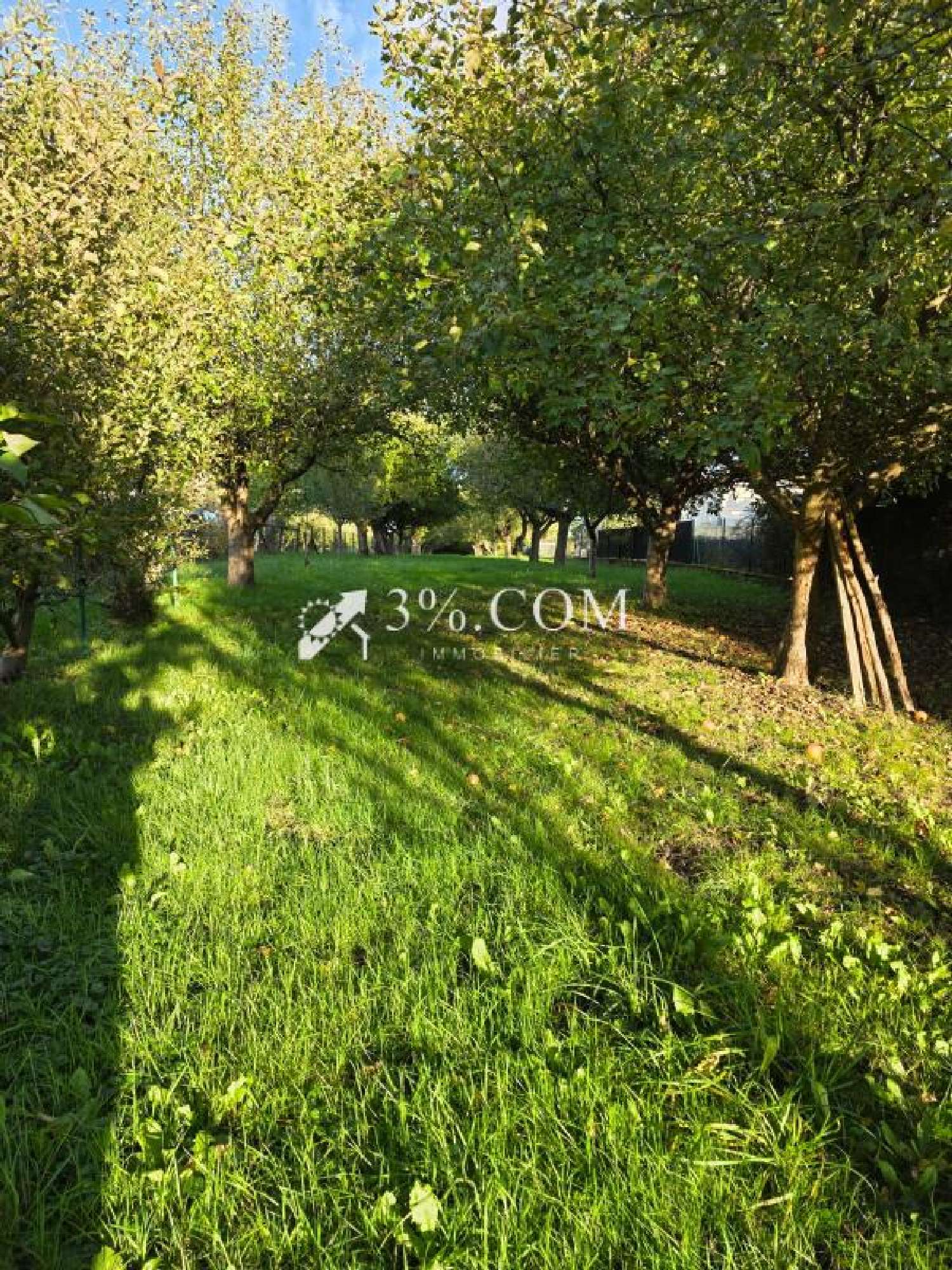 kaufen Grundstück Mont-sur-Meurthe Meurthe-et-Moselle 2