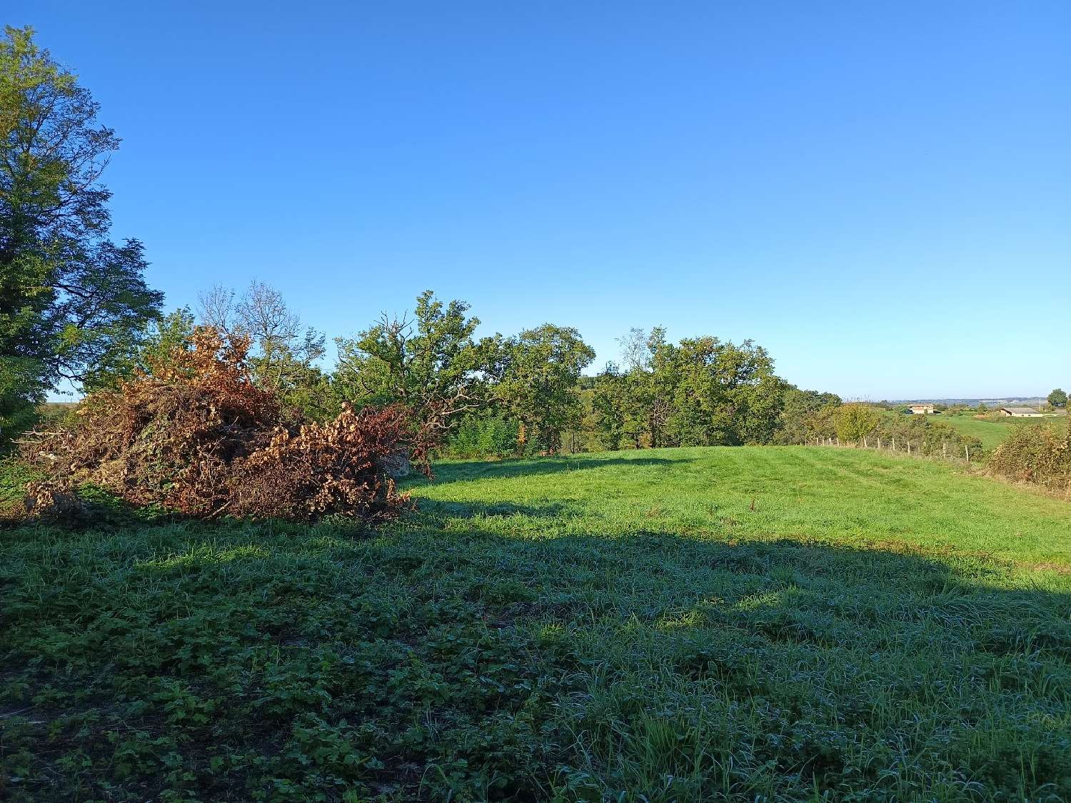  en venta terreno Montdurausse Tarn 5