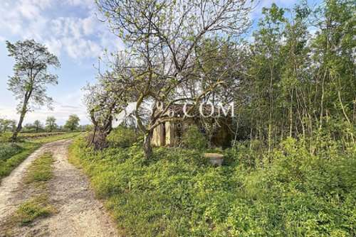 Narbonne Aude terrain foto 7252205