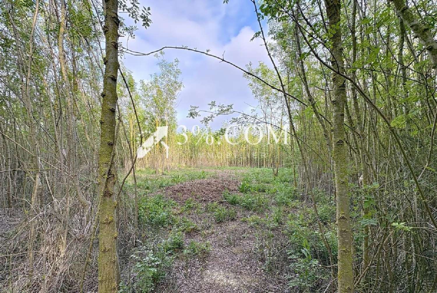  à vendre terrain Narbonne Aude 2