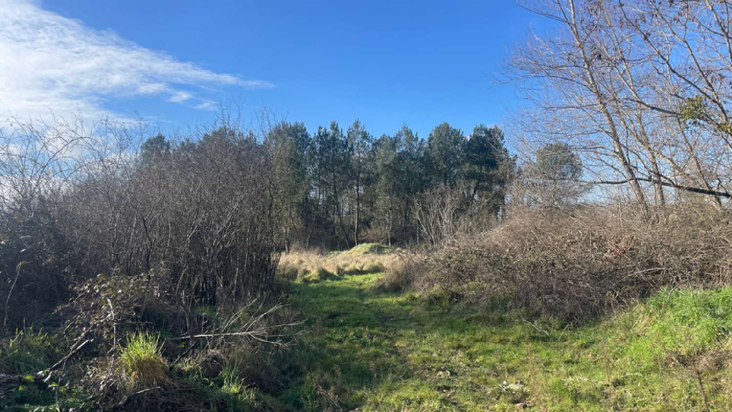 te koop terrein Nevers Nièvre 6