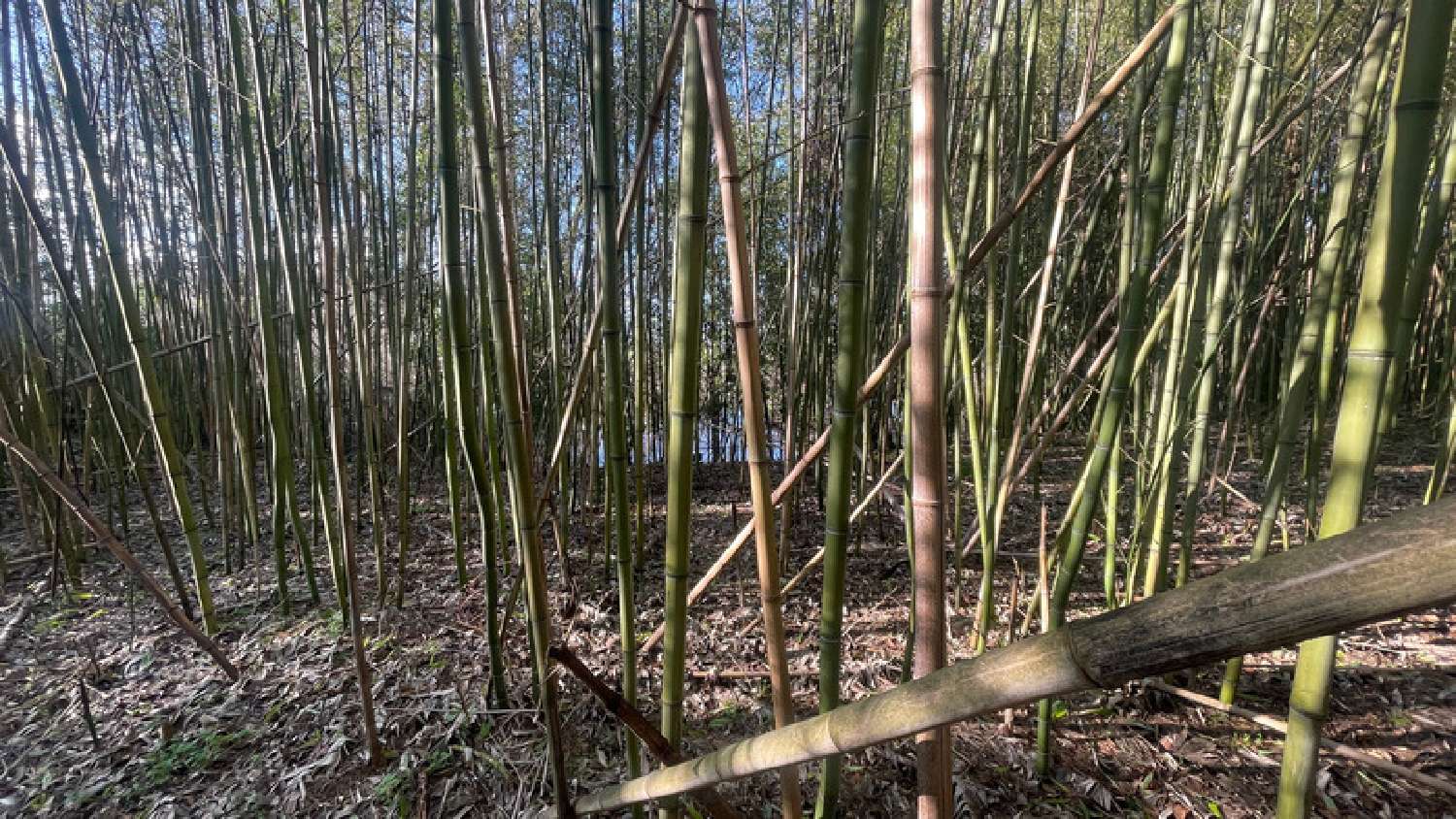 te koop terrein Nevers Nièvre 7