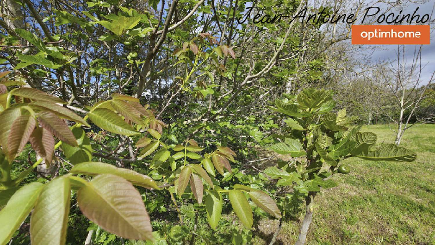  te koop terrein Noé Haute-Garonne 5