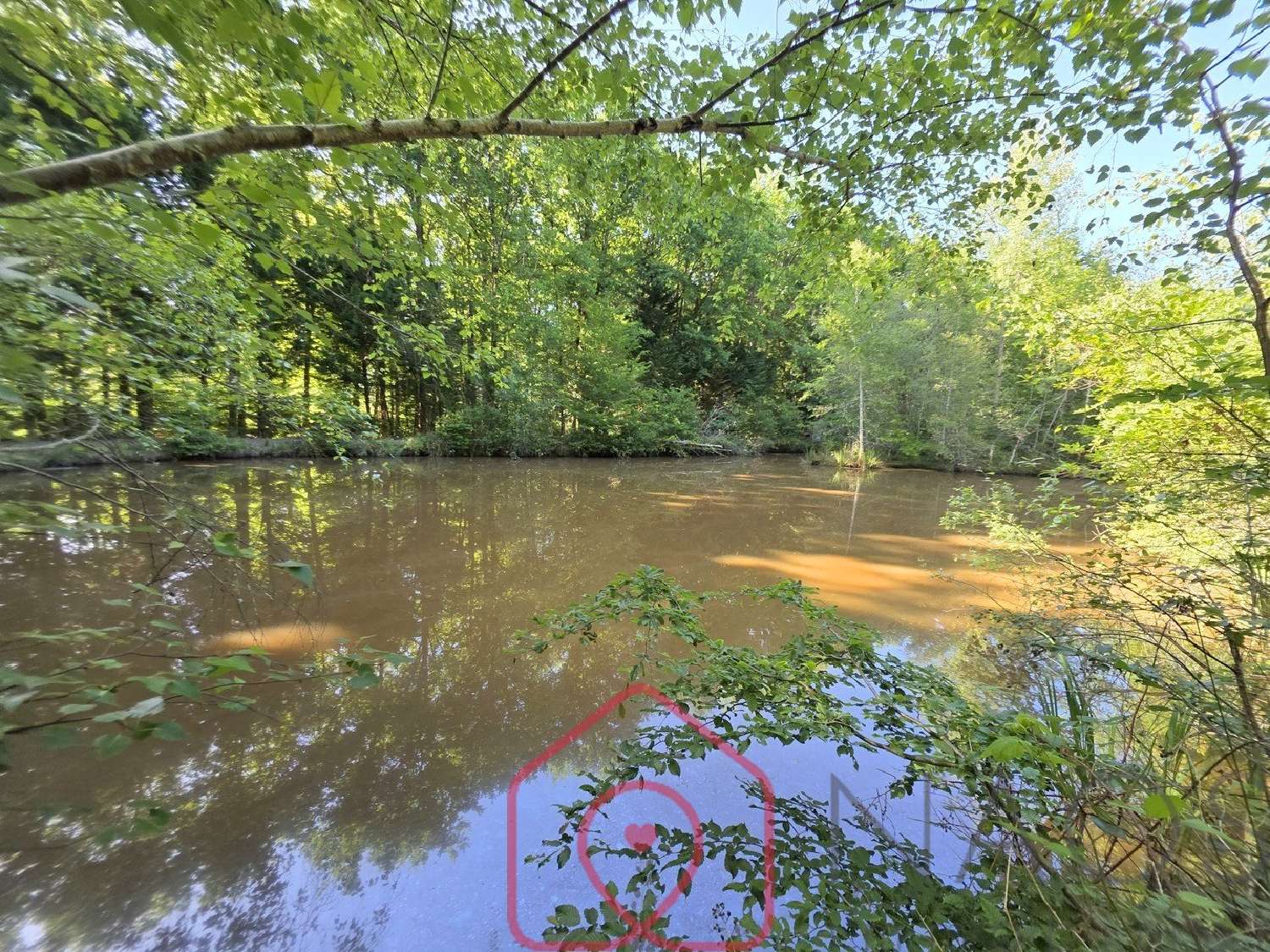 en venta terreno Nouan-le-Fuzelier Loir-et-Cher 4