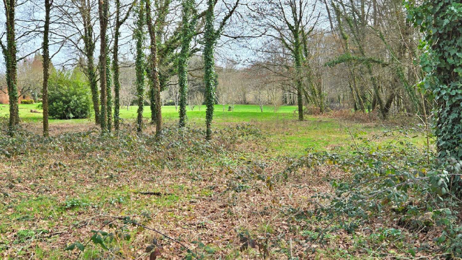  te koop terrein Oradour-sur-Glane Haute-Vienne 3