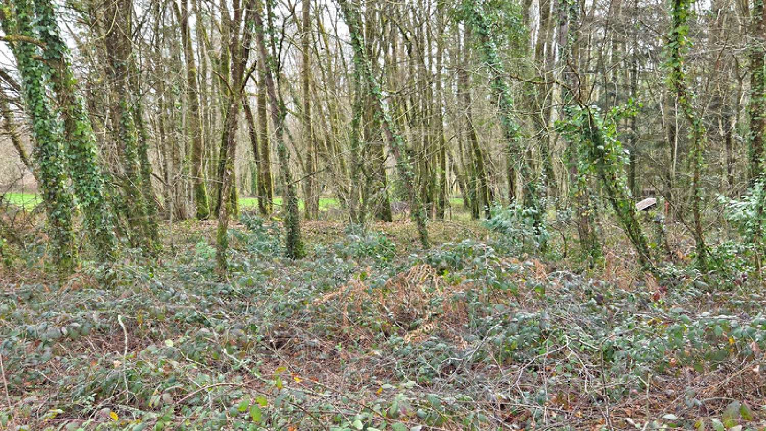  te koop terrein Oradour-sur-Glane Haute-Vienne 6