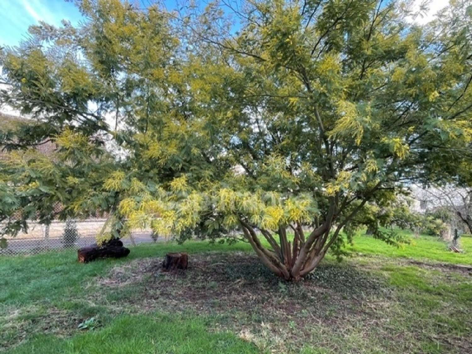 for sale terrain Osny Val-d'Oise 1