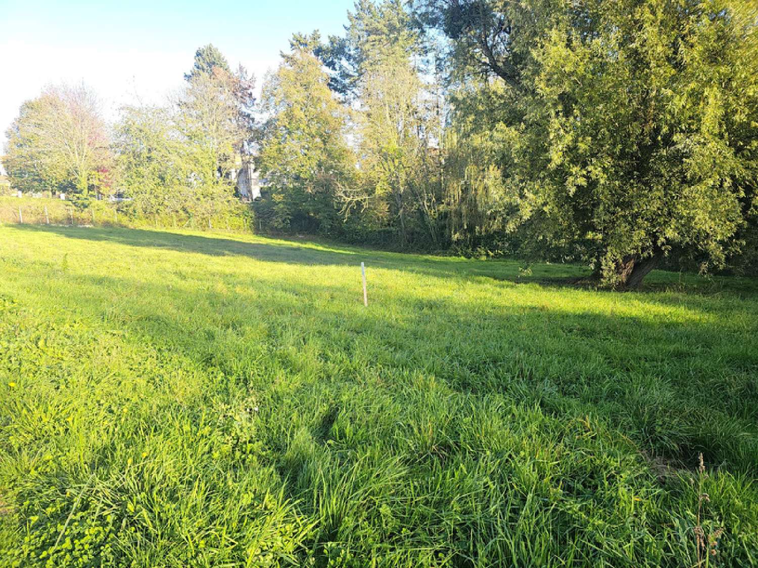  for sale terrain Panissières Loire 1