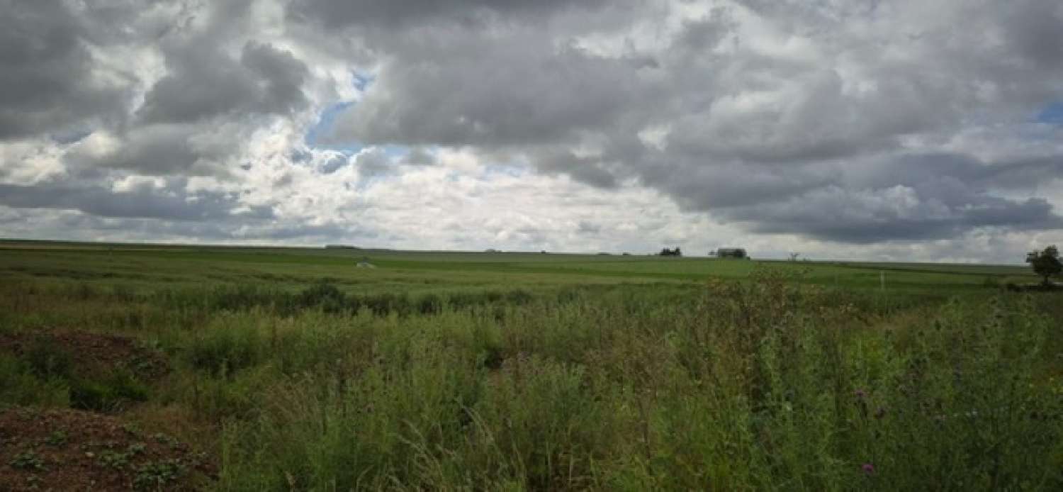  kaufen Grundstück Plivot Marne 8