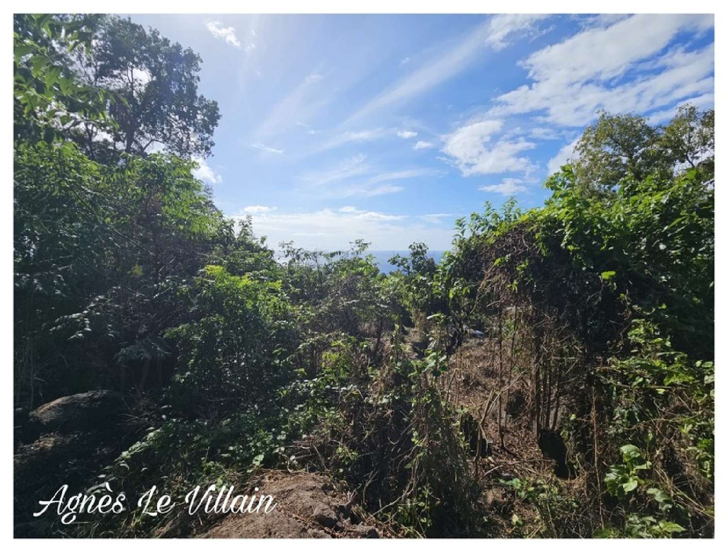  te koop terrein Pointe-Noire Guadeloupe 3