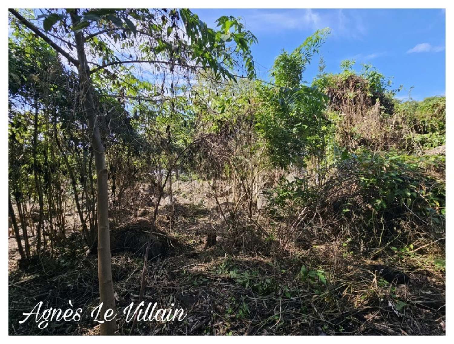  te koop terrein Pointe-Noire Guadeloupe 6