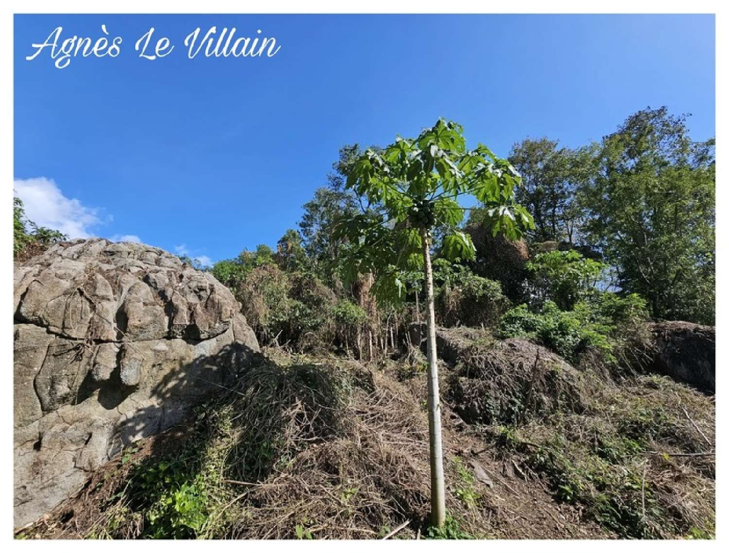  te koop terrein Pointe-Noire Guadeloupe 7