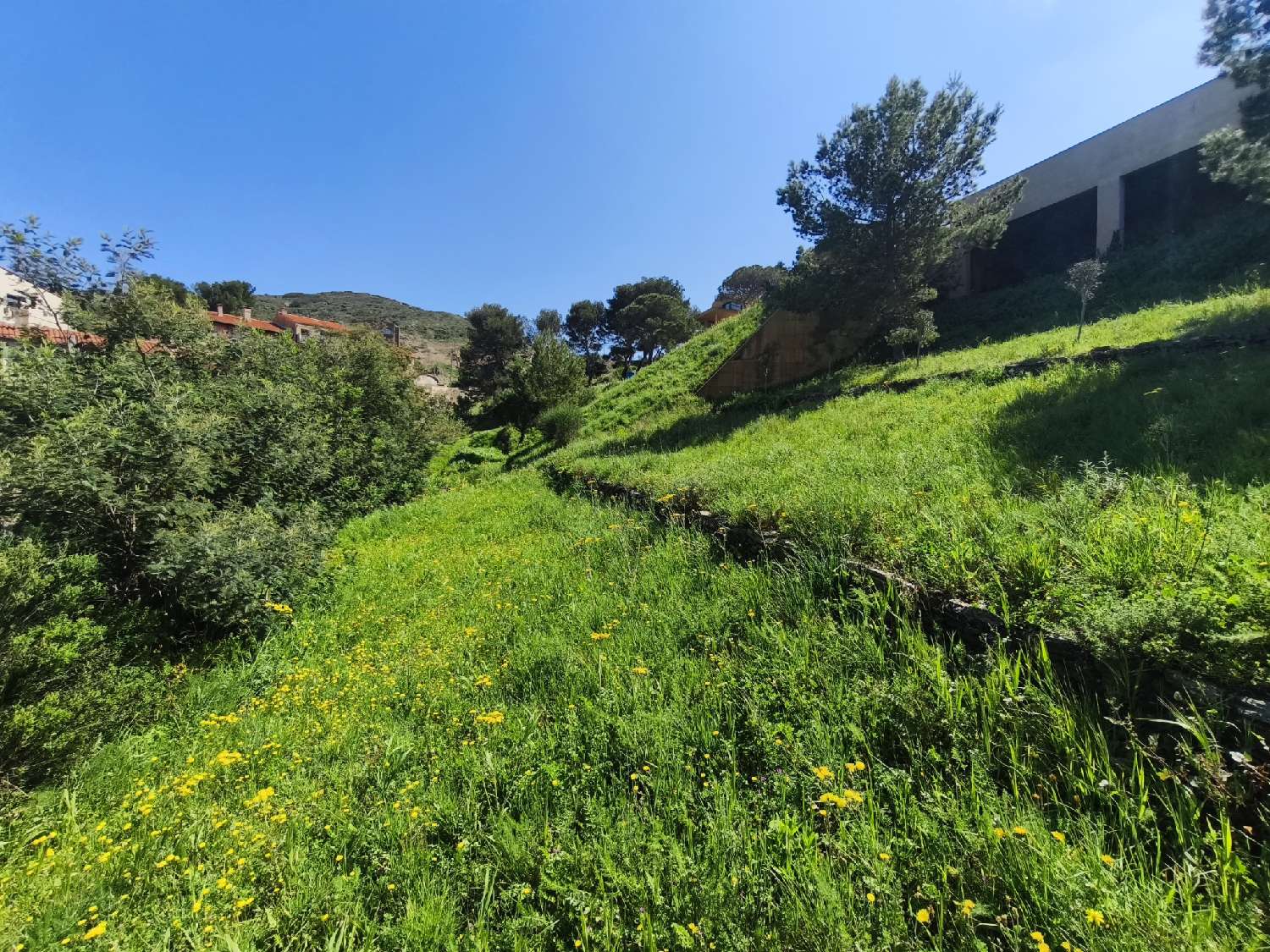  te koop terrein Port-Vendres Pyrénées-Orientales 2