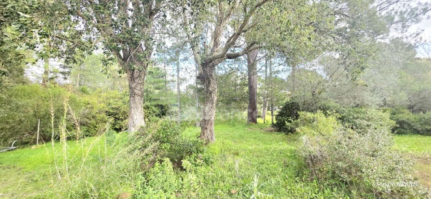  te koop terrein Porto-Vecchio Corse-du-Sud 1