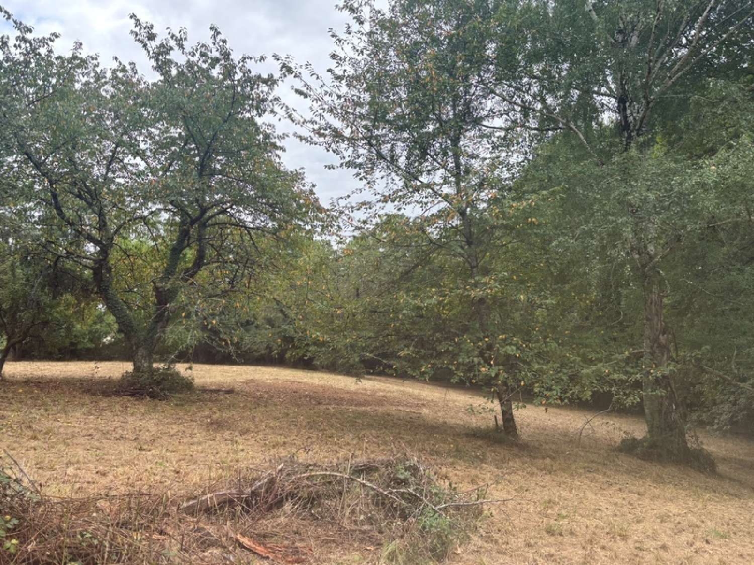  for sale terrain Pouyastruc Hautes-Pyrénées 4