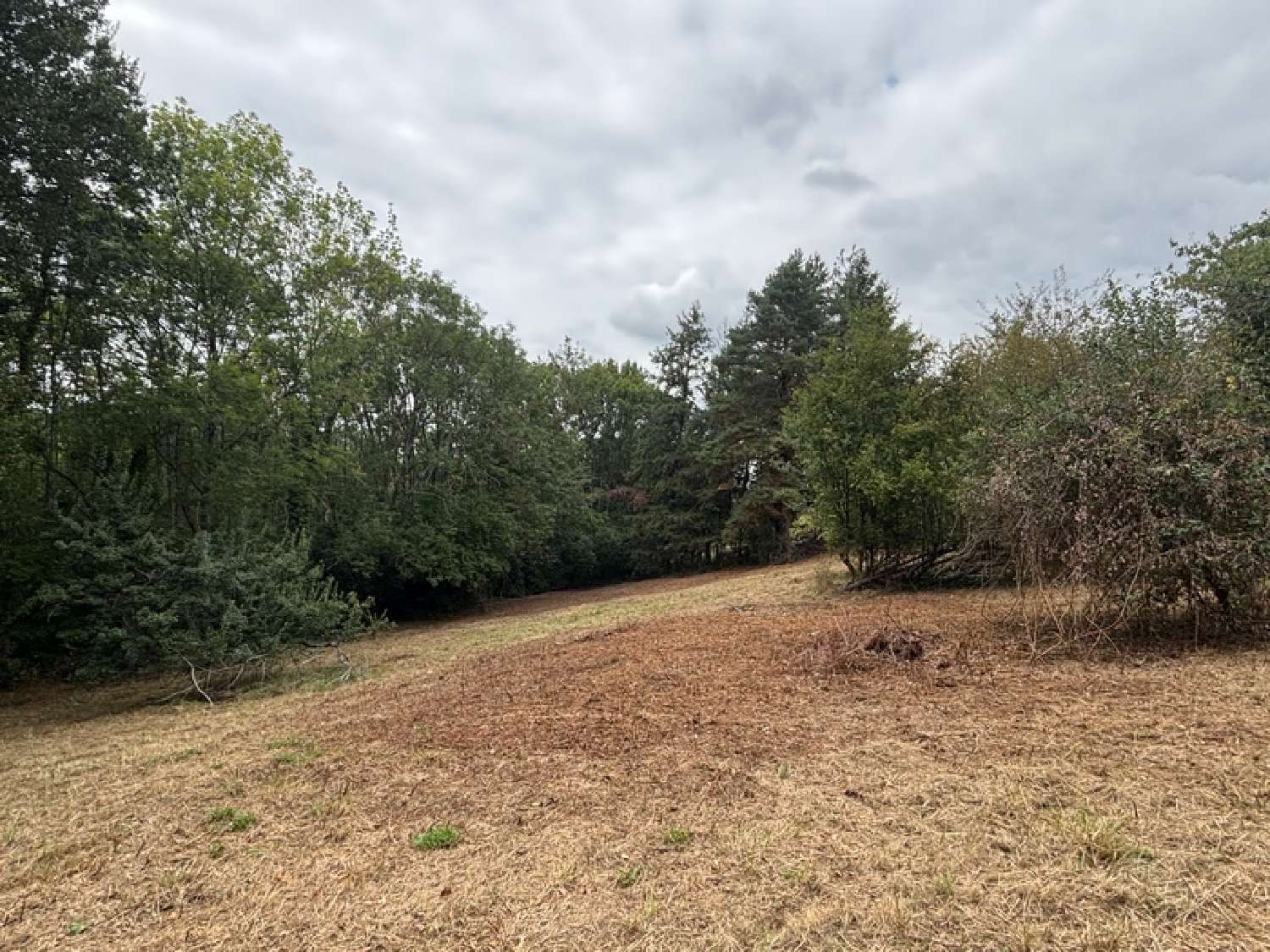  for sale terrain Pouyastruc Hautes-Pyrénées 5