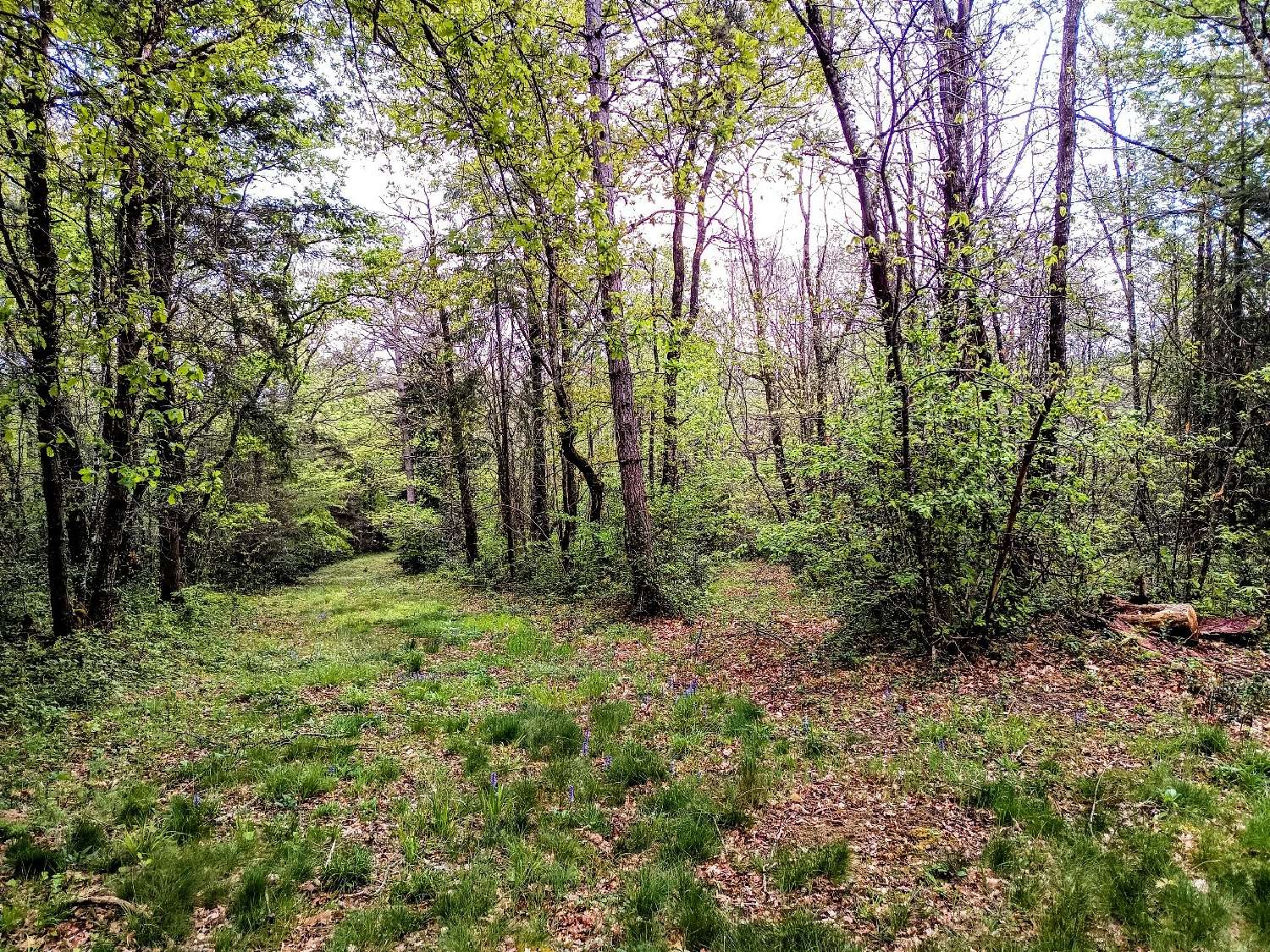  for sale terrain Puycalvel Tarn 4