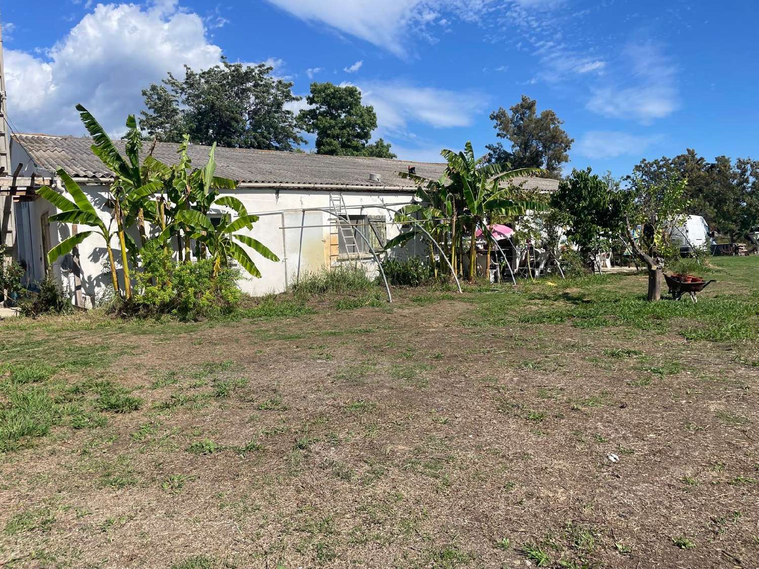 te koop terrein Saint Antoine Haute-Corse 2