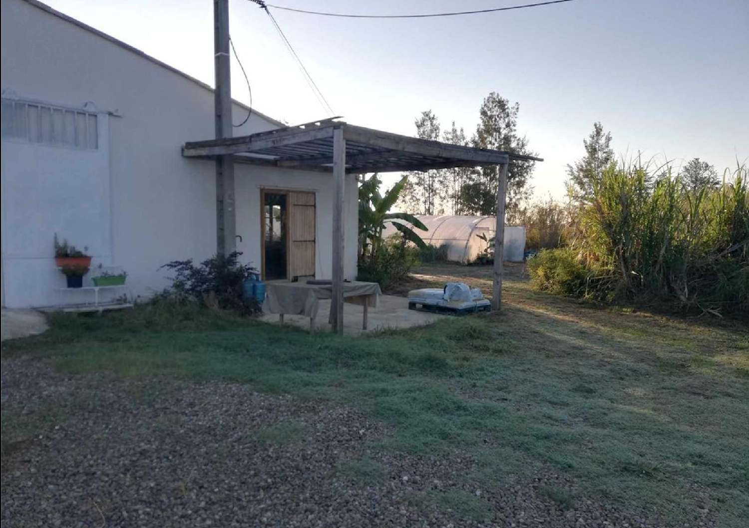 te koop terrein Saint Antoine Haute-Corse 4