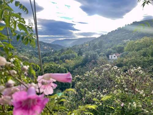 Saint-Blaise Alpes-Maritimes Grundstück Bild 7253320