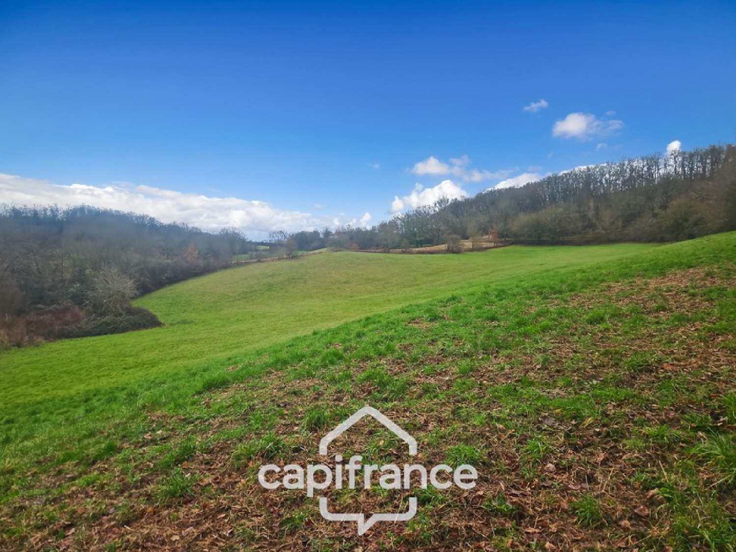  à vendre terrain Saint-Caprais-de-Lerm Lot-et-Garonne 8