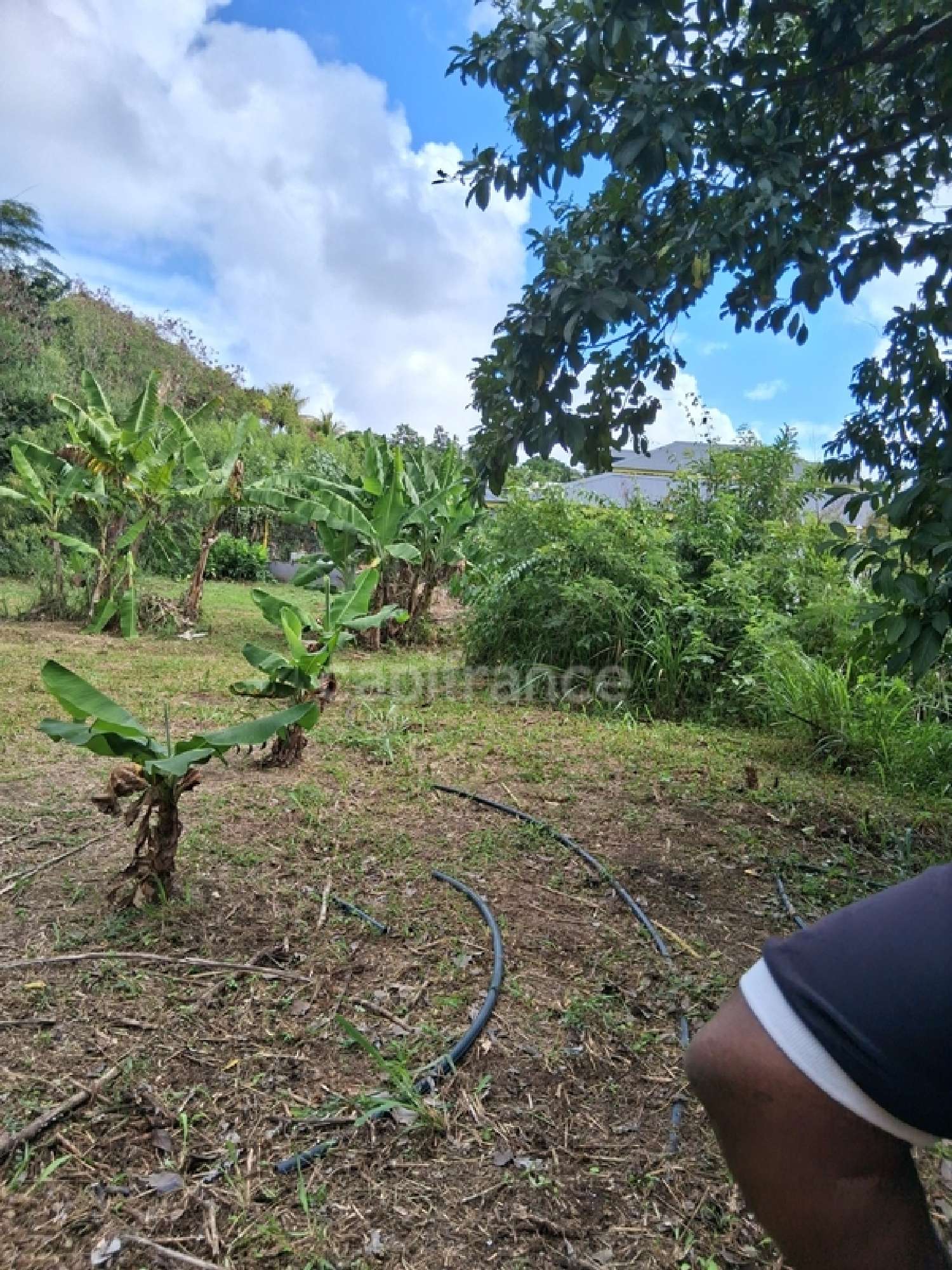 te koop terrein Saint-François Guadeloupe 3