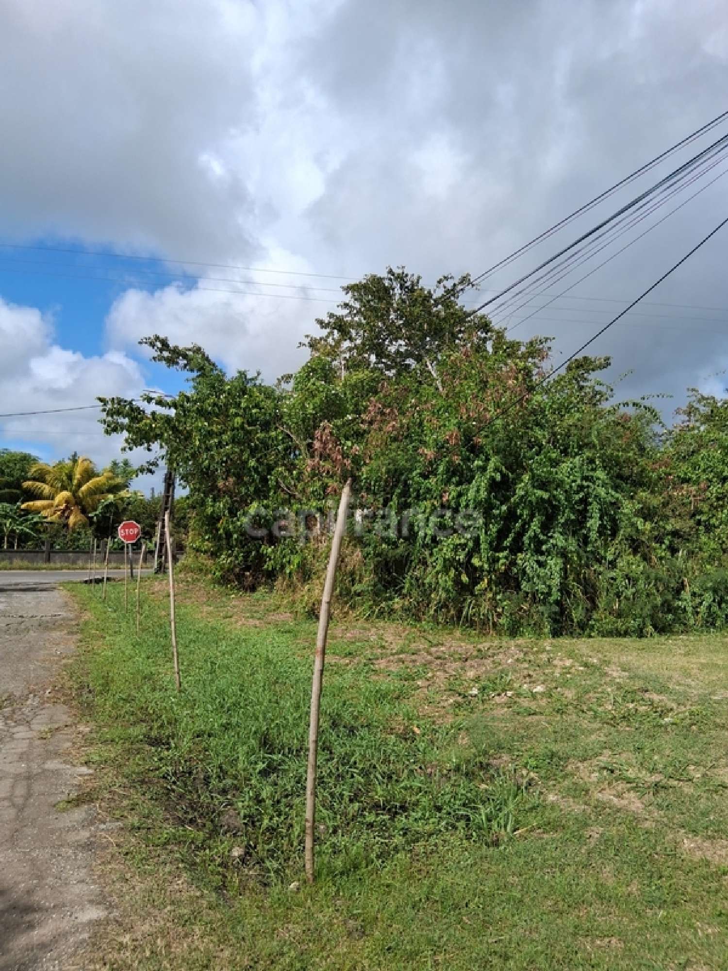 te koop terrein Saint-François Guadeloupe 4