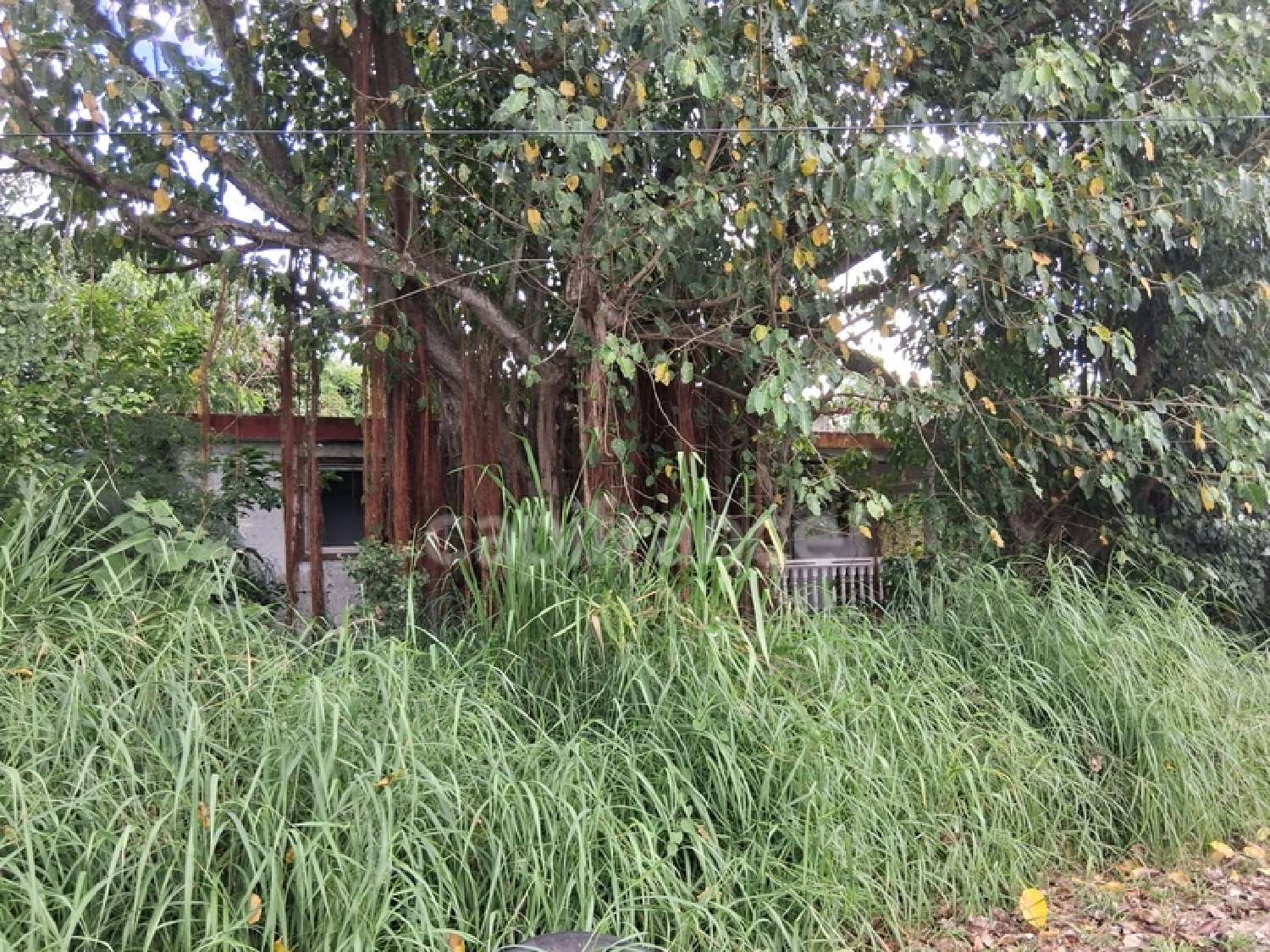 te koop terrein Saint-François Guadeloupe 6