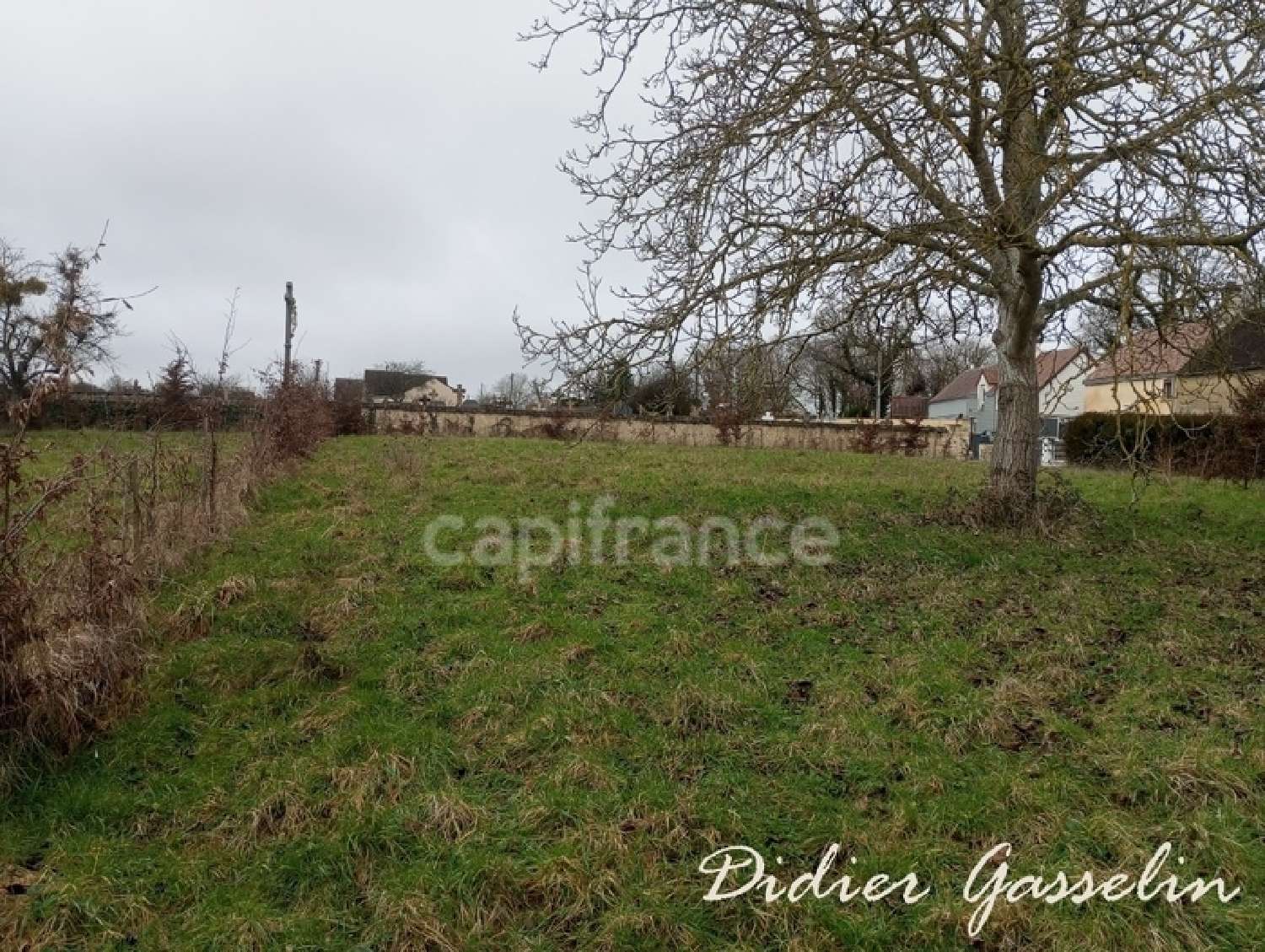  kaufen Grundstück Saint-Hilaire-sur-Erre Orne 2