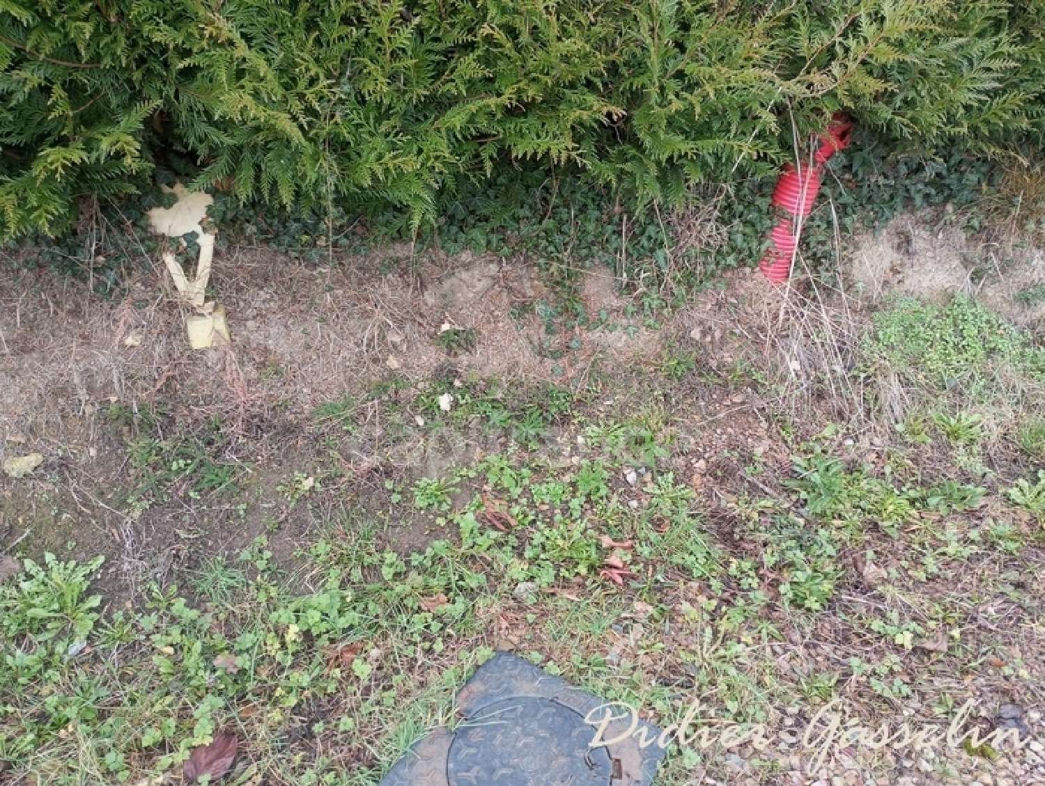  kaufen Grundstück Saint-Hilaire-sur-Erre Orne 6