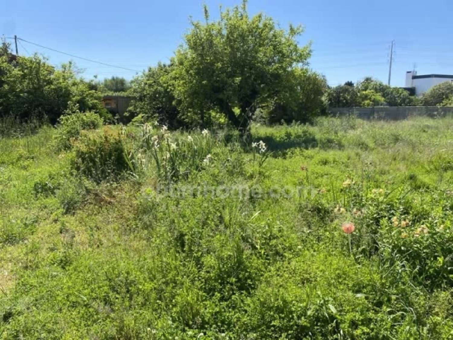  te koop terrein Saint-Jean-de-Monts Vendée 1