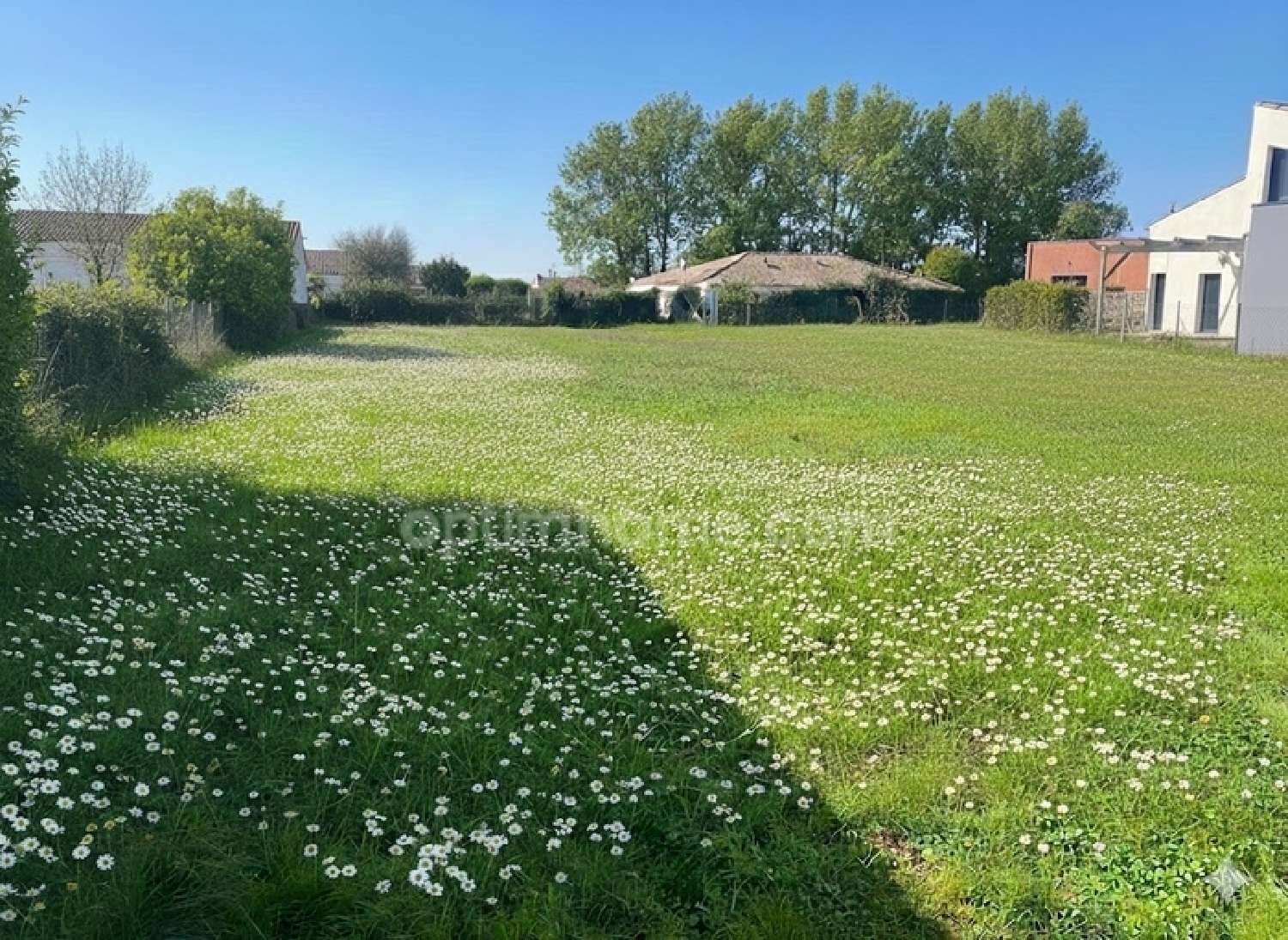  à vendre terrain Saint-Laurent-de-la-Prée Charente-Maritime 1