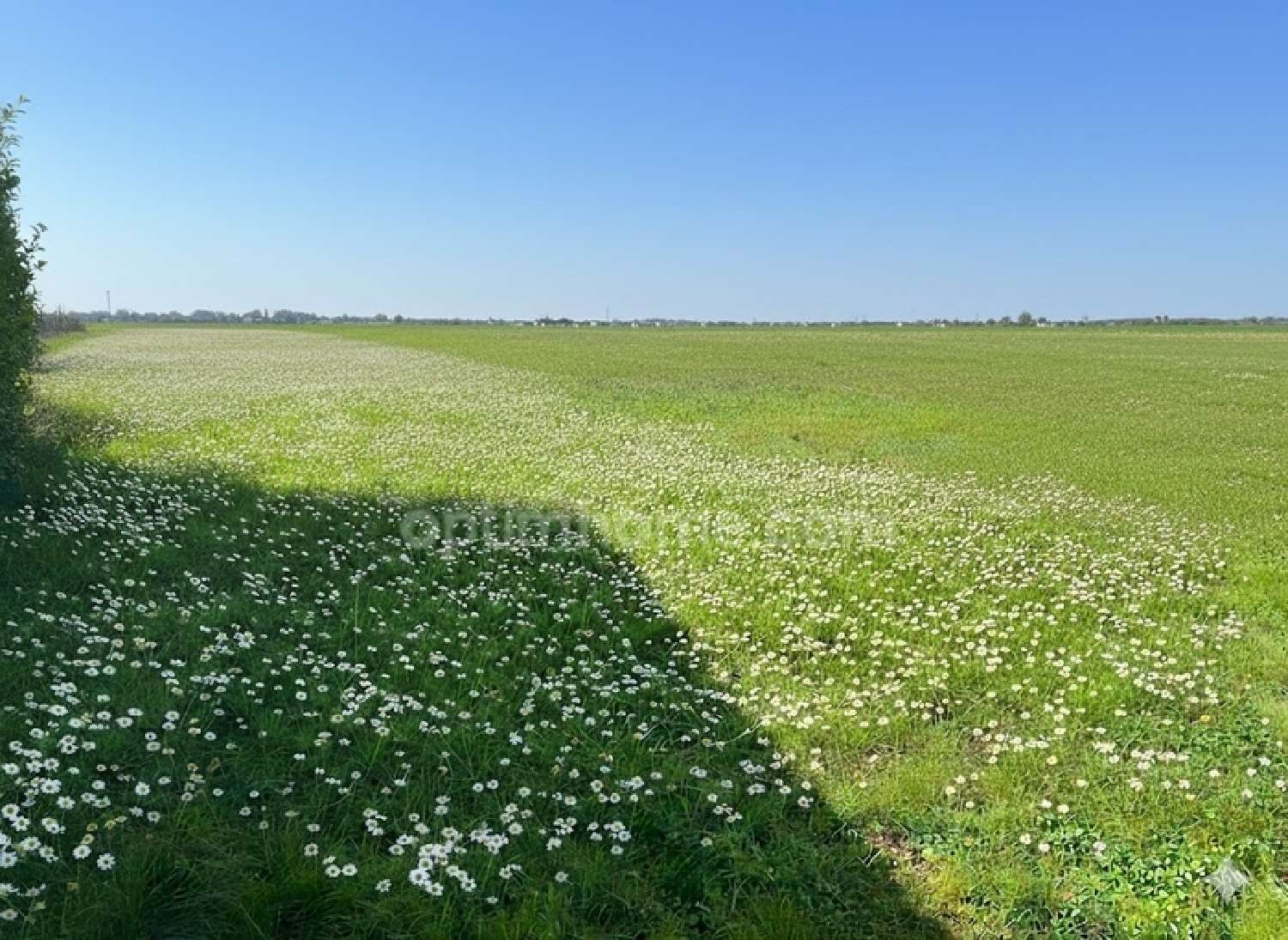 à vendre terrain Saint-Laurent-de-la-Prée Charente-Maritime 2