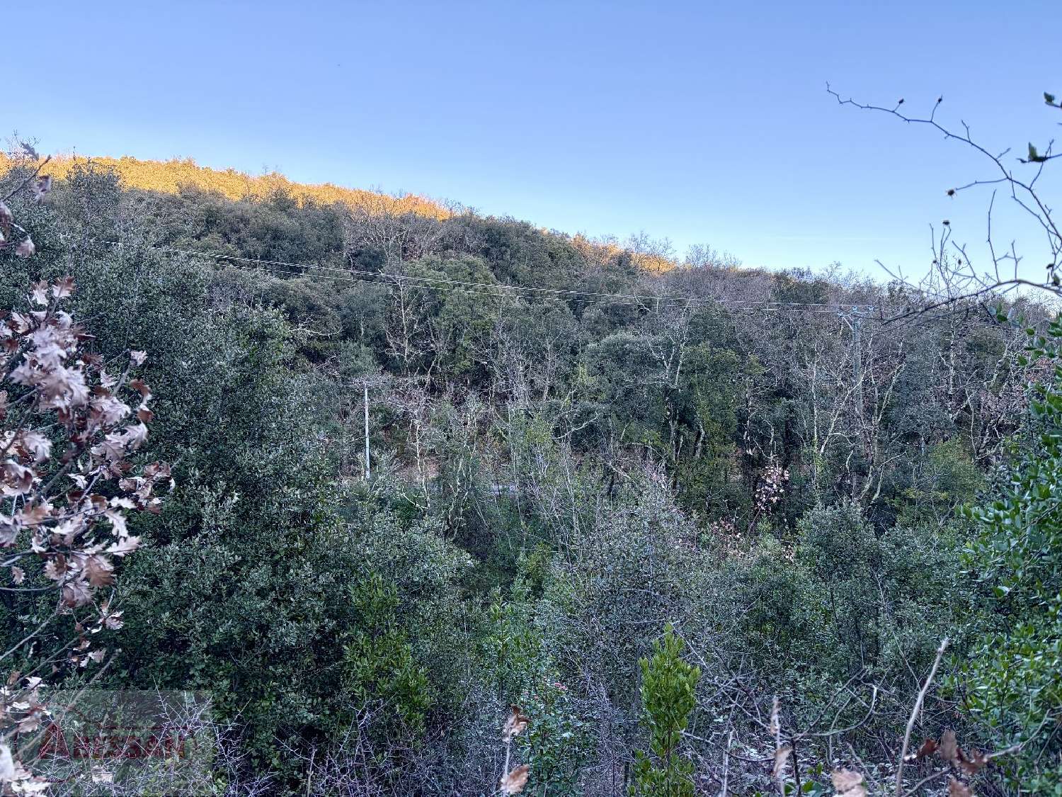  à vendre terrain Saint-Martin-de-Valgalgues Gard 6